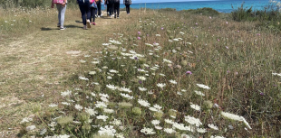 Escursione nella natura