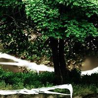 Albero in una palla di vetro, natura